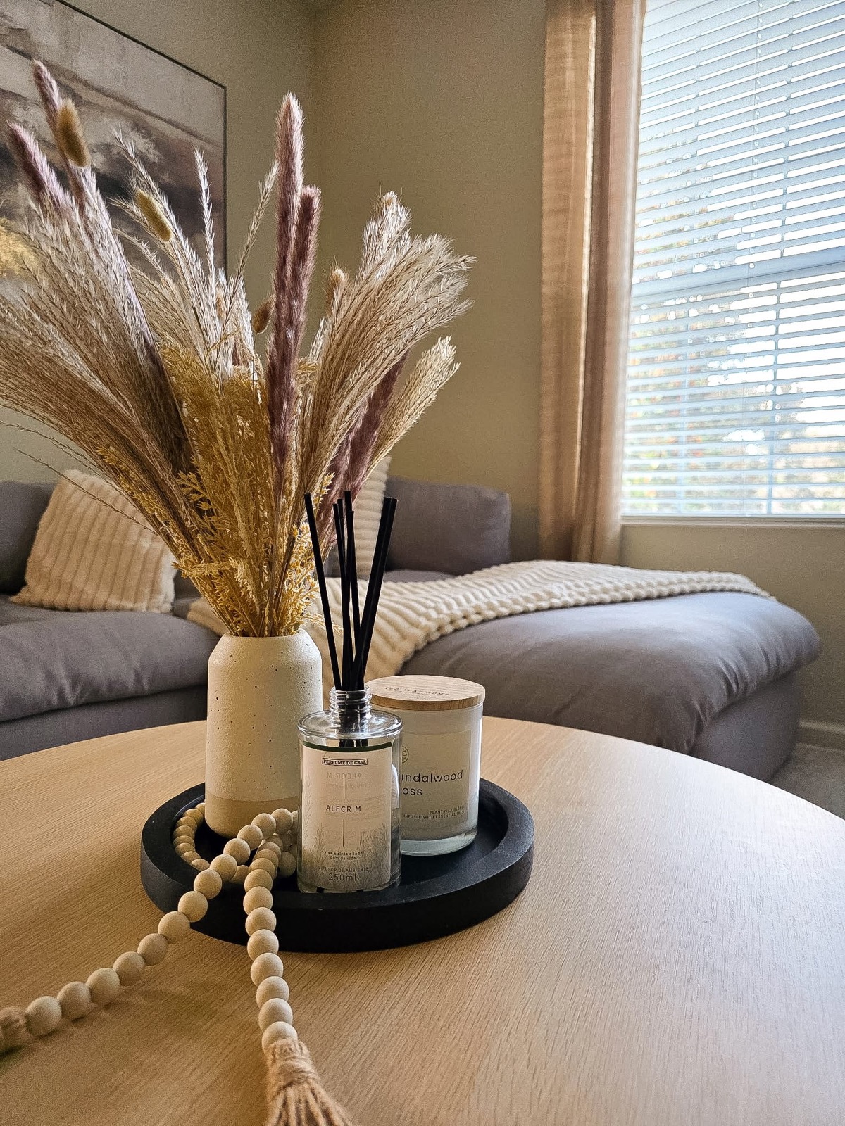 Design consultation in Apollo Beach